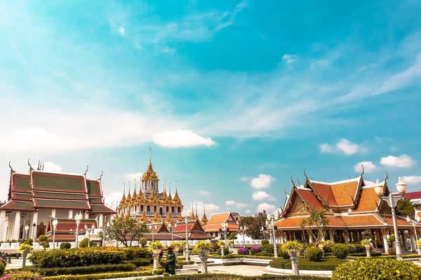 New Scientist Default Image