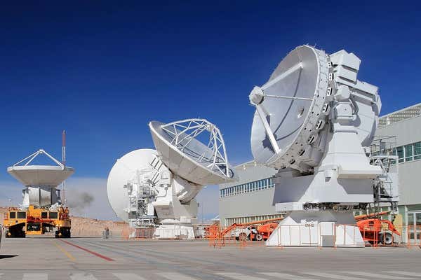 New Scientist Default Image