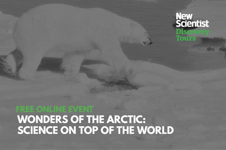 New Scientist Default Image