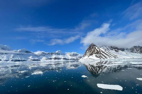 New Scientist Default Image