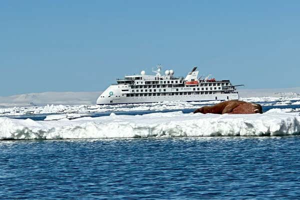 New Scientist Default Image