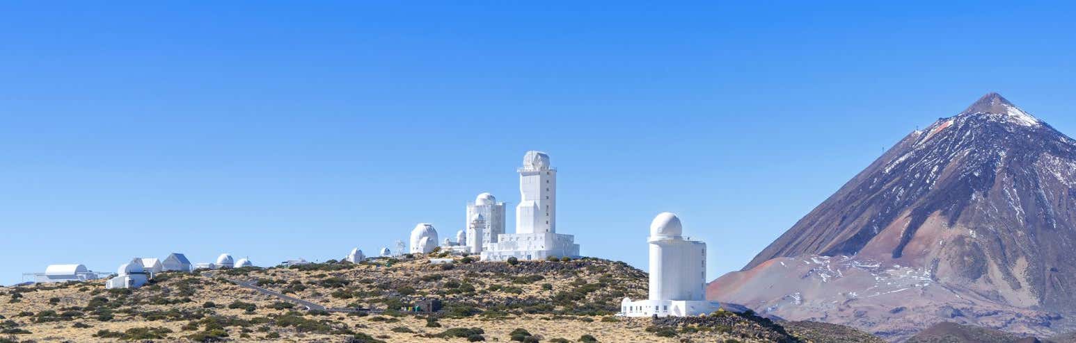 New Scientist Default Image