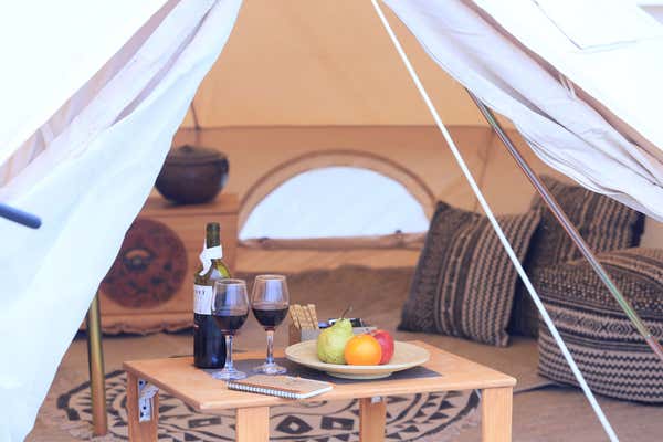 New Scientist Default Image