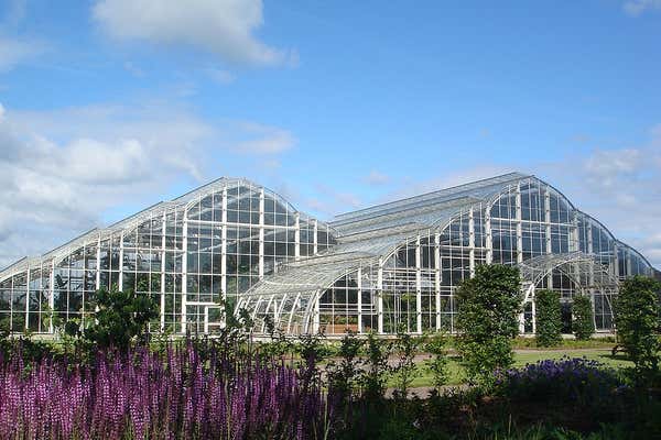 New Scientist Default Image