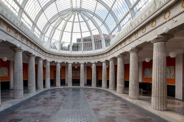 New Scientist Default Image