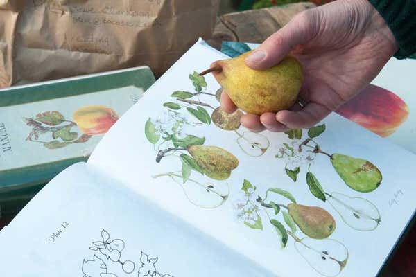 New Scientist Default Image