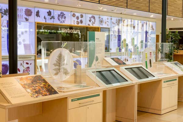 New Scientist Default Image