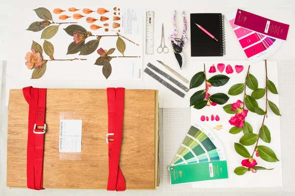 New Scientist Default Image