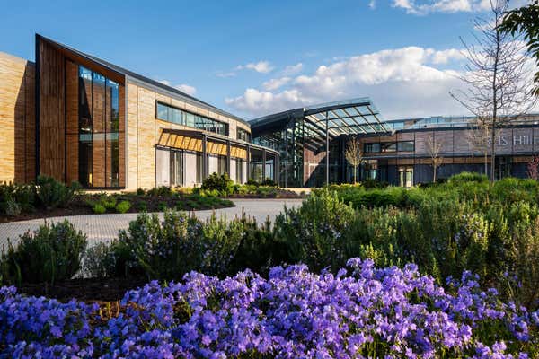 New Scientist Default Image