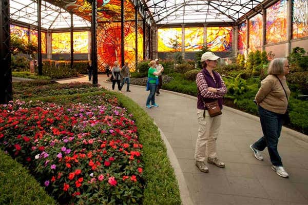 Exploring the botanical gardens in Mexico, Natural Habitat