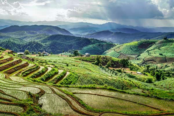 New Scientist Default Image