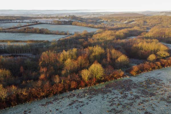 New Scientist Default Image