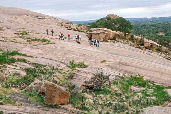 New Scientist Default Image