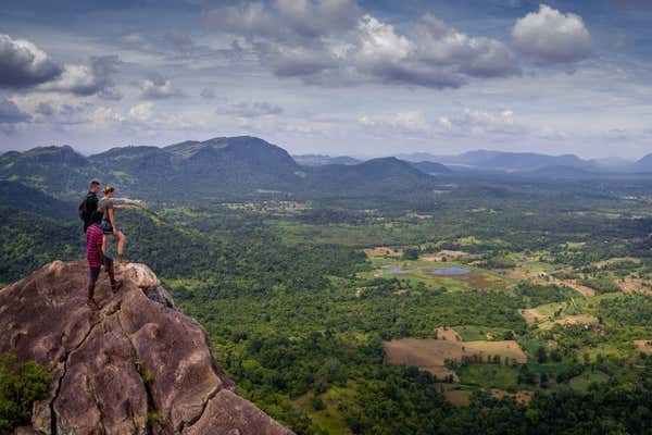 New Scientist Default Image