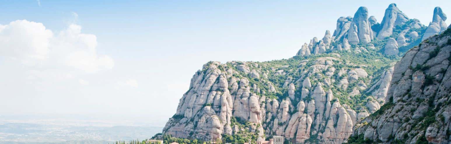 New Scientist Default Image