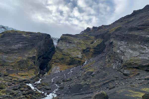 New Scientist Default Image