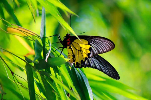 New Scientist Default Image