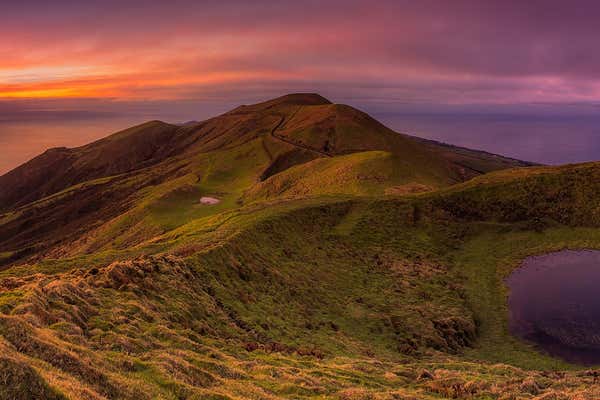 New Scientist Default Image