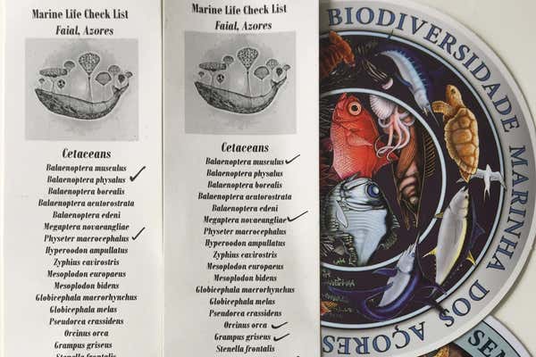 New Scientist Default Image