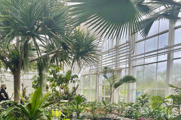 New Scientist Default Image