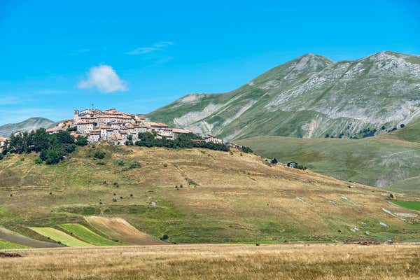 New Scientist Default Image