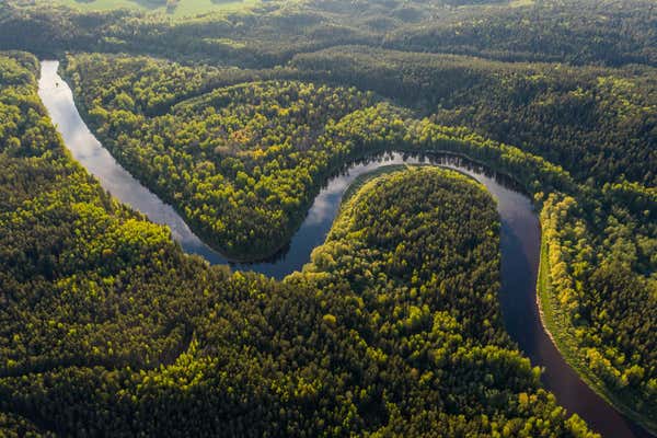 Aerial view of the Amazon river, green forest and winding river.