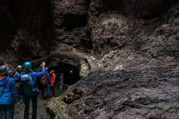 New Scientist Default Image