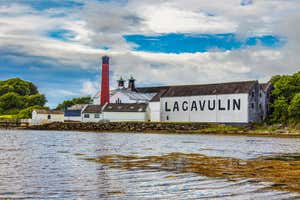 New Scientist Default Image