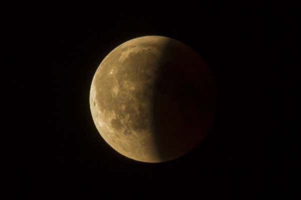 New Scientist Default Image