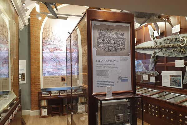 New Scientist Default Image