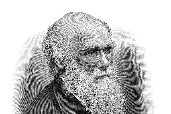 Steel engraving of naturalist Charles Darwin Original edition from my own archives Source : Meyers Konversations Lexikon 6.Auflage 1903