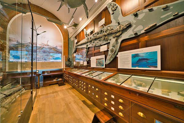 Interior image of the first floor at the Mary Anning museum, Lyme Regis, Dorset