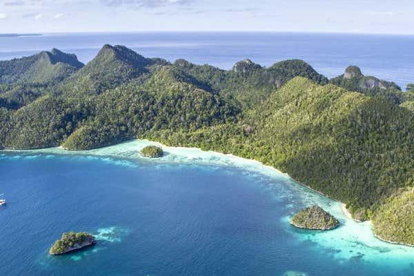 New Scientist Default Image