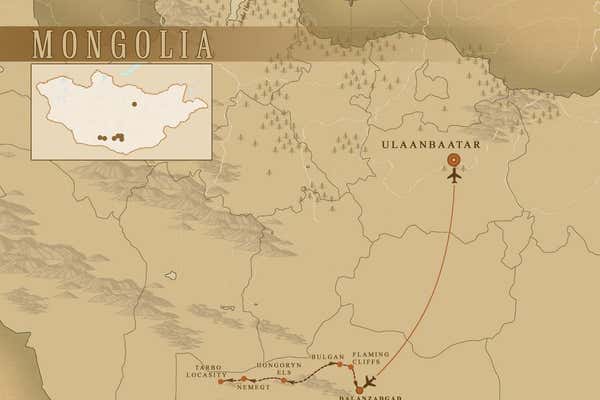 New Scientist Default Image