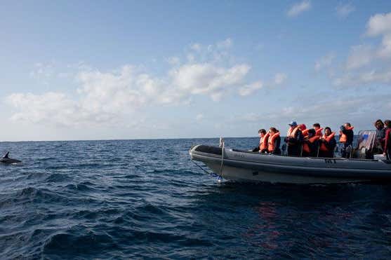 New Scientist Default Image