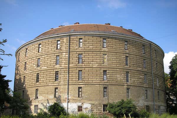 New Scientist Default Image