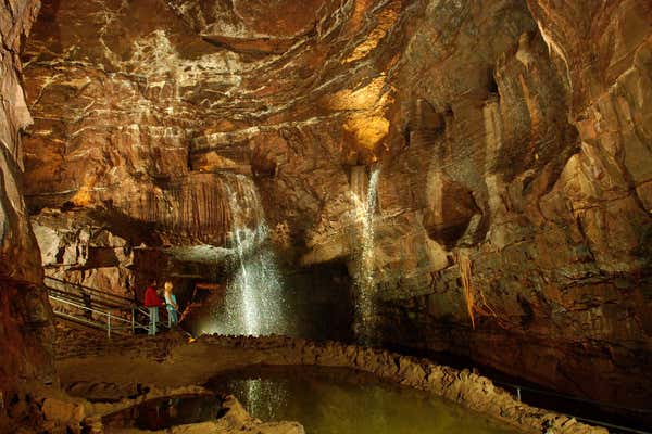 New Scientist Default Image