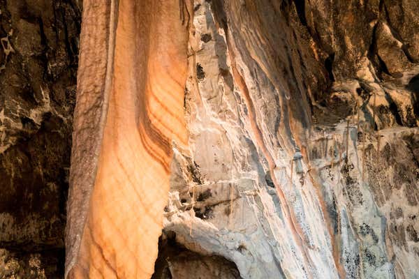 New Scientist Default Image