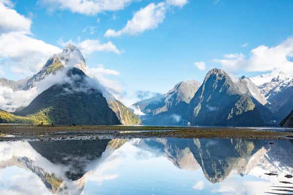 New Scientist Default Image