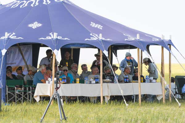 New Scientist Default Image