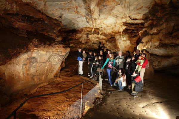 New Scientist Default Image