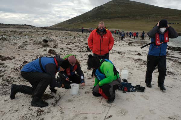 Plastic & Microplastic, Citizens Science, Saunders Island, Antarctica, Massimo Bassano