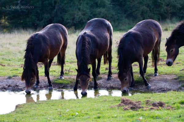 New Scientist Default Image