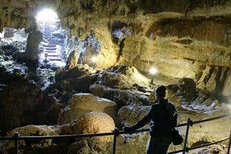 New Scientist Default Image