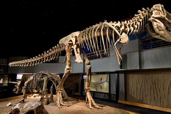 New Scientist Default Image