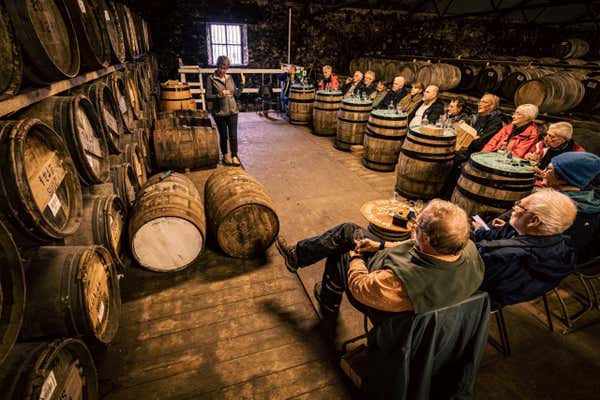 New Scientist Default Image