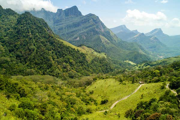 New Scientist Default Image