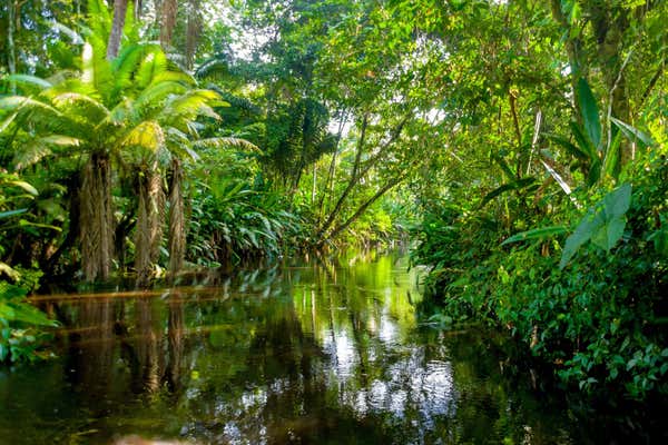 New Scientist Default Image