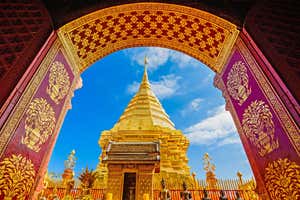 New Scientist Default Image