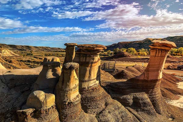 New Scientist Default Image